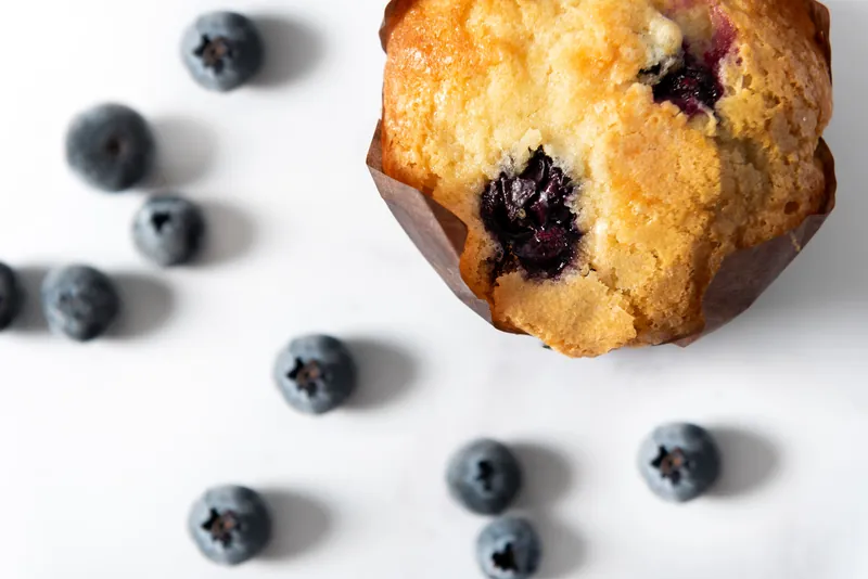 Muffin de blueberry recién horneado rodeado de arándanos frescos sobre fondo blanco